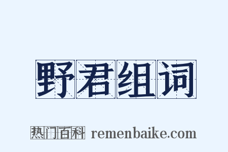 野君组词是什么意思的图片